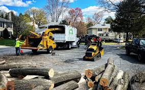 Landscape Design and Installation in Crown Point, IN