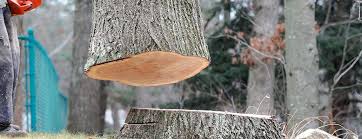 Best Tree Risk Assessment  in Crown Pot, IN