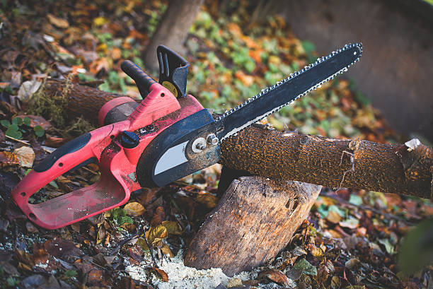 Best Tree Cabling and Bracing  in Crown Pot, IN